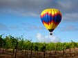 Actividades alrededor del vino