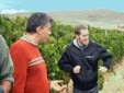 Visitas a bodegas y catas de vino